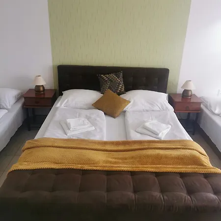 Diana Отель Нове-Место-над-Вагом