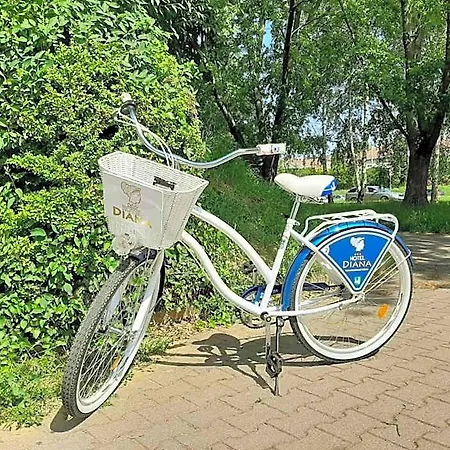 Diana Nove Mesto nad Vahom