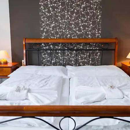 Отель Diana Нове-Место-над-Вагом