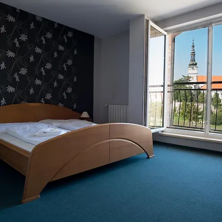 Diana Отель Нове-Место-над-Вагом